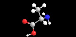Alanine - a description and useful properties of this amino acid