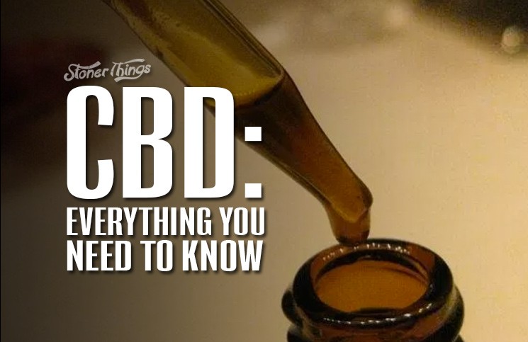 What You Need To Know About Cbd