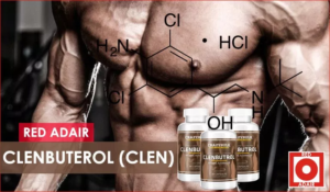 Shape your body according to your dream with the help of Clenbuterol