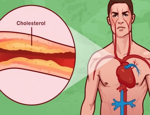 Cholesterol In The Human Body